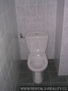 Pic 10