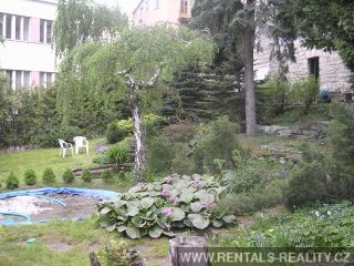 Pic 3