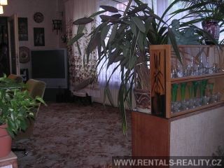 Pic 6