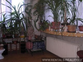 Pic 8