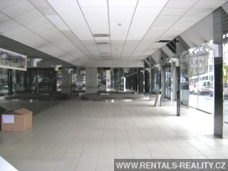 Pic 5