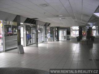 Pic 6