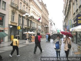 Pic 8