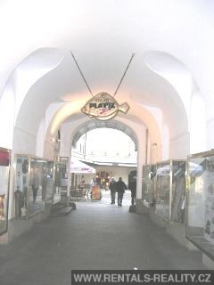 Pic 6