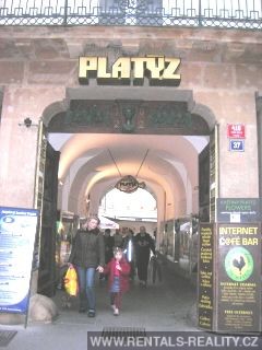 Pic 7