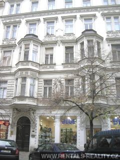 Pic 10