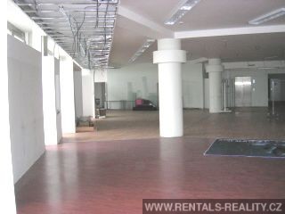 Pic 6