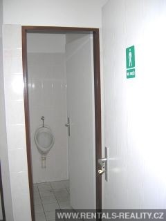 Pic 8