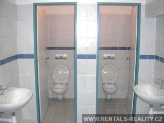 Pic 8