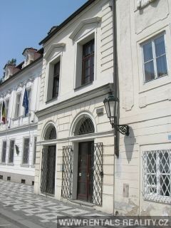 Pic 7