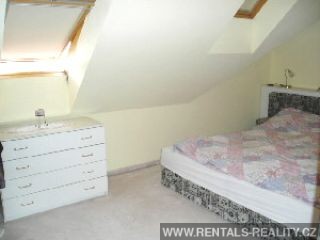 Pic 5