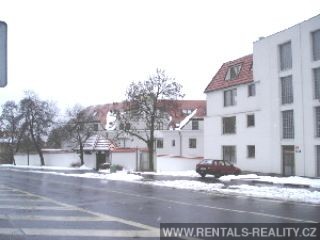 Pic 10