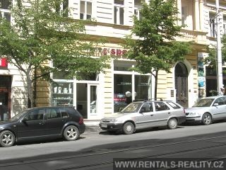 Pic 6