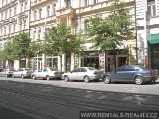 Pic 7
