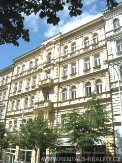 Pic 8