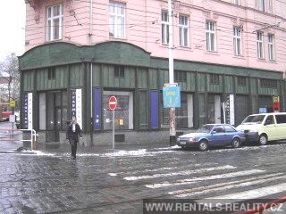 Pic 5