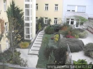 Pic 8