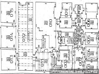 Pic 10
