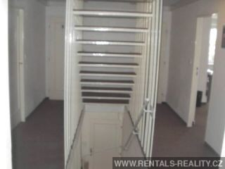 Pic 5