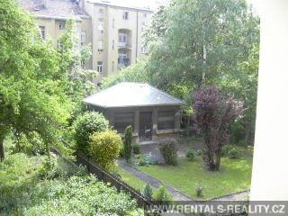Pic 9