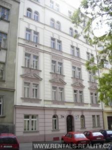 Pic 10
