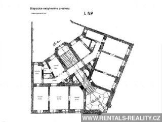 Pic 10