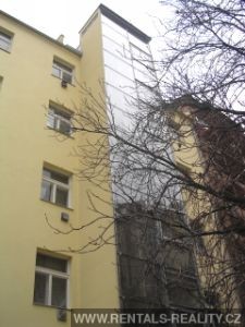 Pic 10