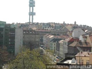 Pic 10