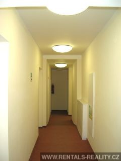 Pic 8