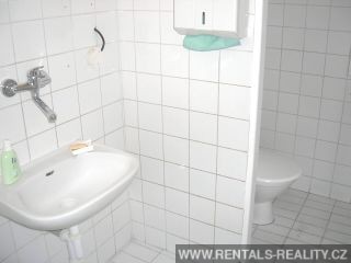 Pic 9
