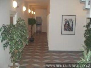Pic 6