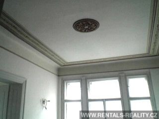 Pic 5