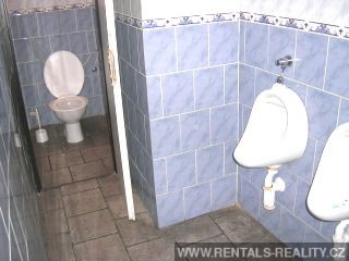 Pic 10
