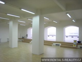 Pic 13