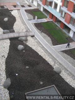 Pic 6