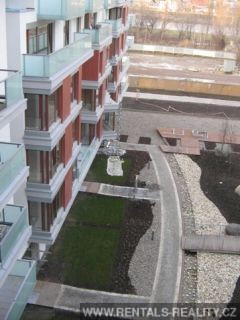 Pic 10