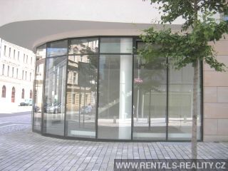 Pic 11
