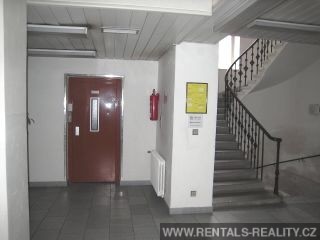Pic 6