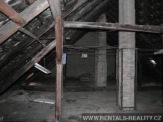 Pic 5
