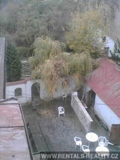 Pic 11