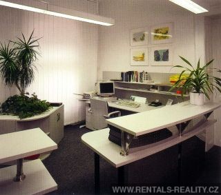 Pic 5