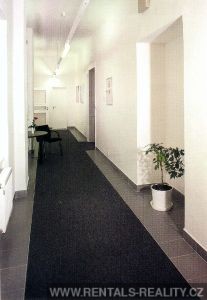 Pic 6