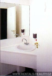 Pic 7