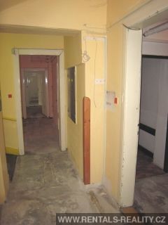 Pic 10
