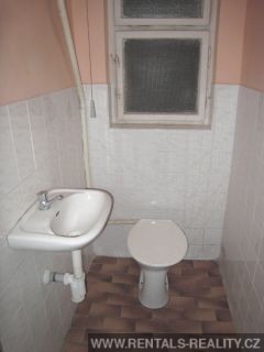 Pic 11