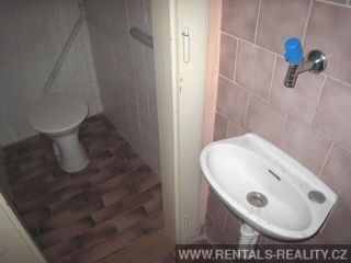 Pic 12
