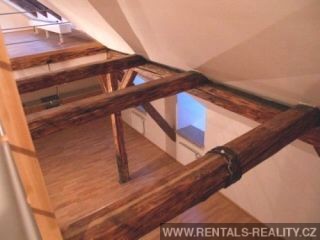 Pic 5