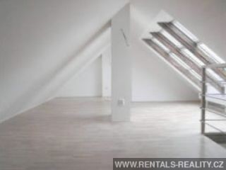 Pic 11