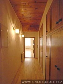 Pic 7