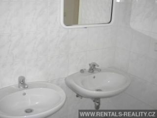 Pic 11